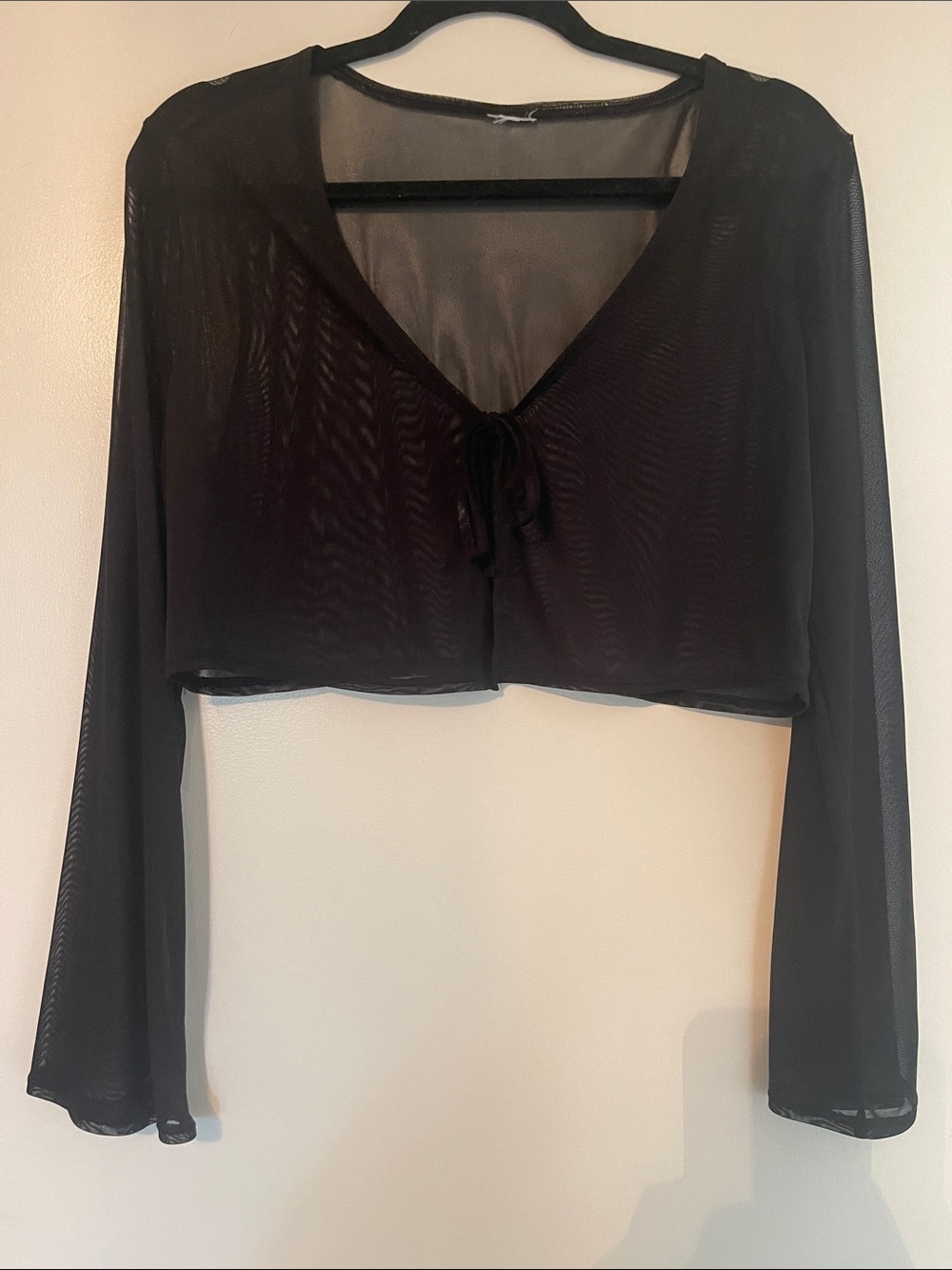Sheer Black Tie-Front Cropped Top - Women